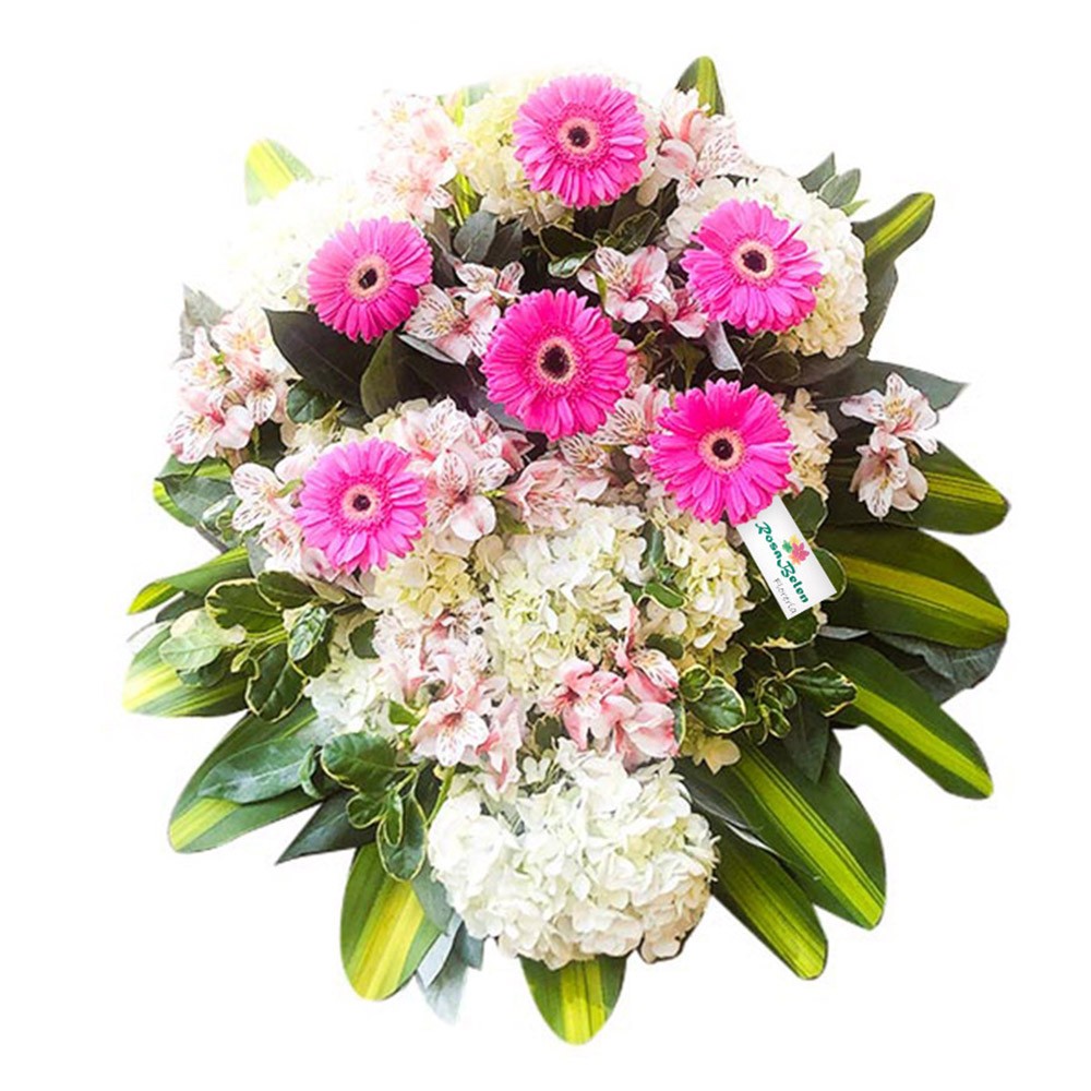 LAGRIMA DE GERBERAS