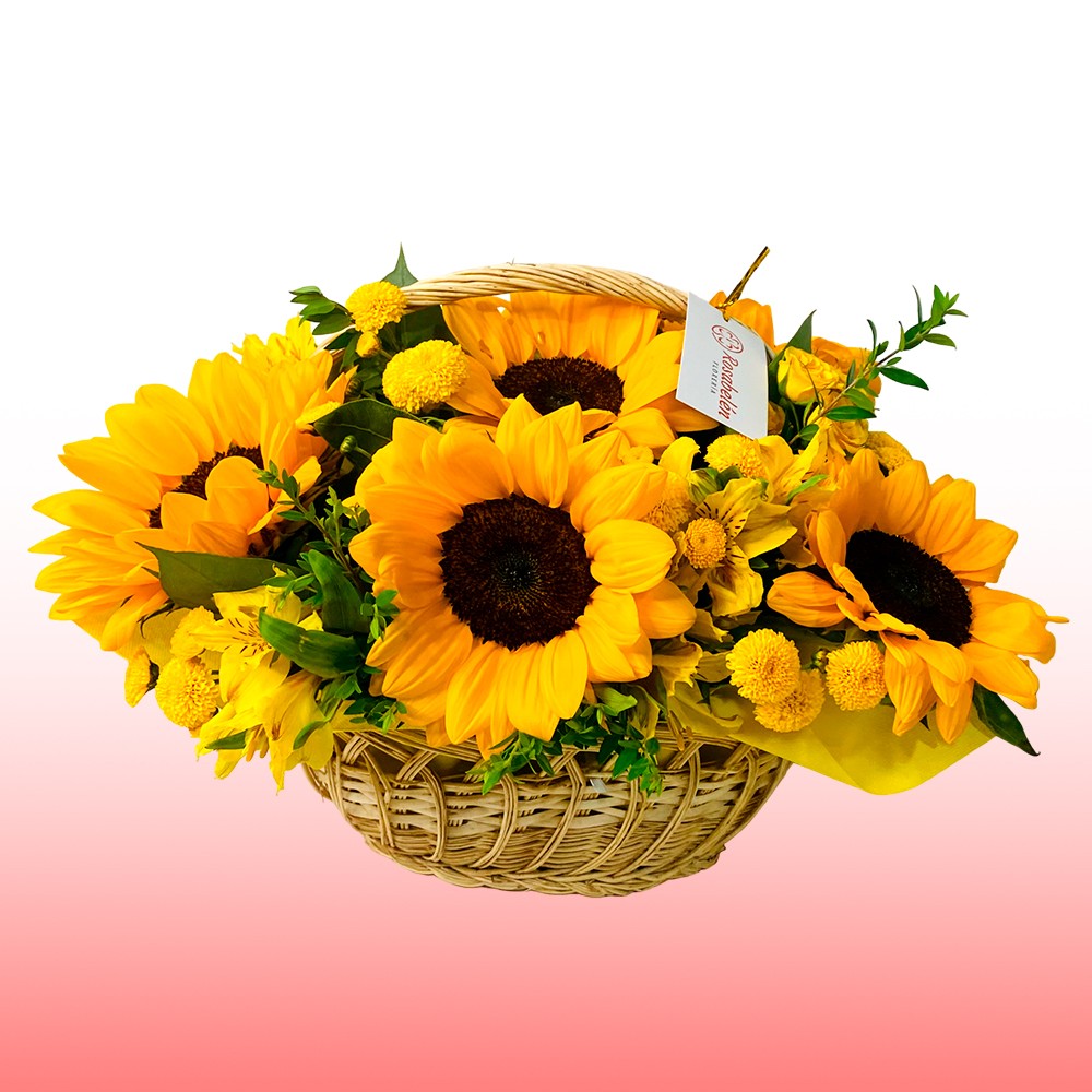 CANASTA 5 GIRASOLES